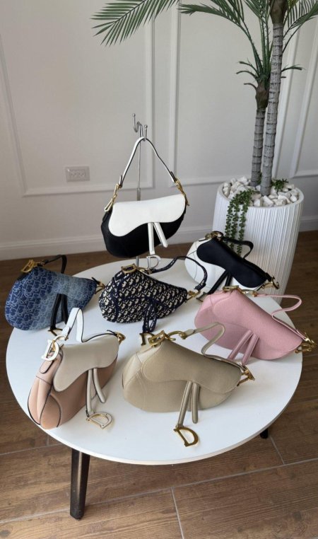 شنتة - Dior Saddle / الوان الموسم الجديدة